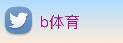 b体育 Logo